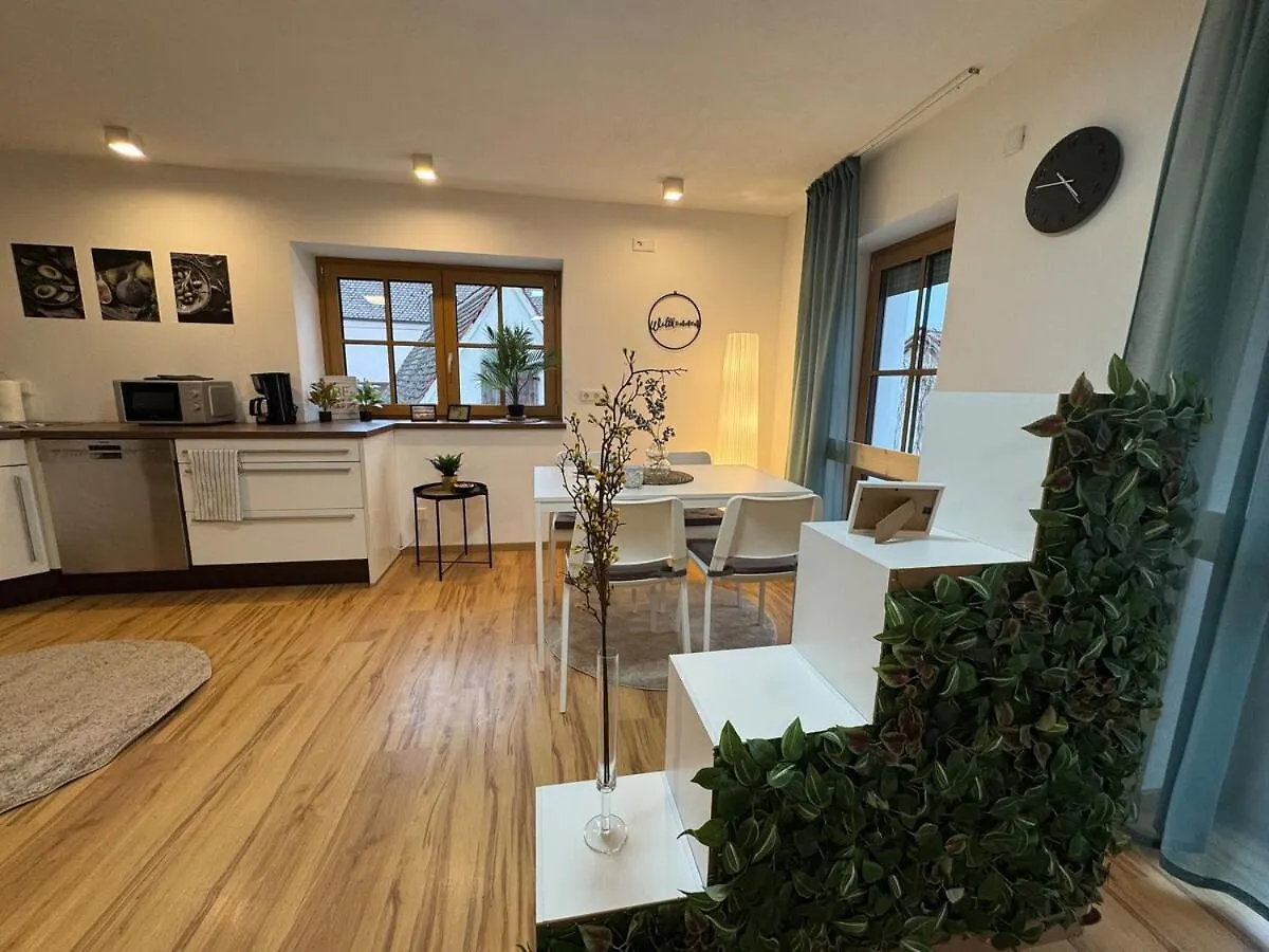 Nue05-Bp - Apartment Fuer Firmen Zirndorf 0*,  Germany